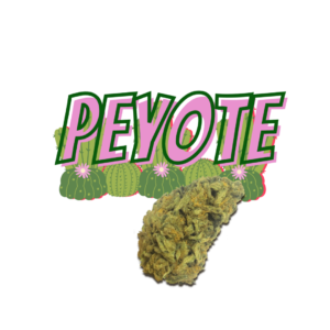 peyote-dirty-dogs